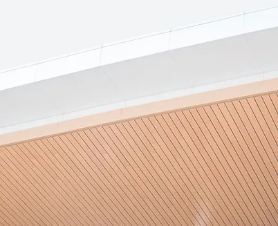 The profile view of three majestic brown horses