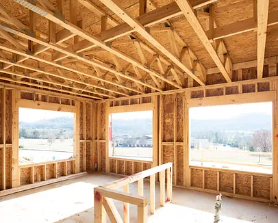 The profile view of three majestic brown horses
