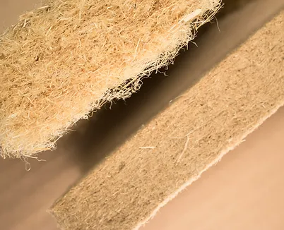 A handsome young horse in front of an expansive sky