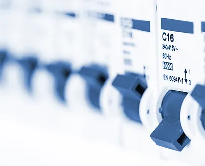 The profile view of three majestic brown horses