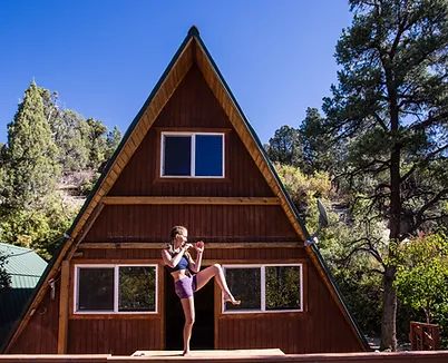 A handsome young horse in front of an expansive sky